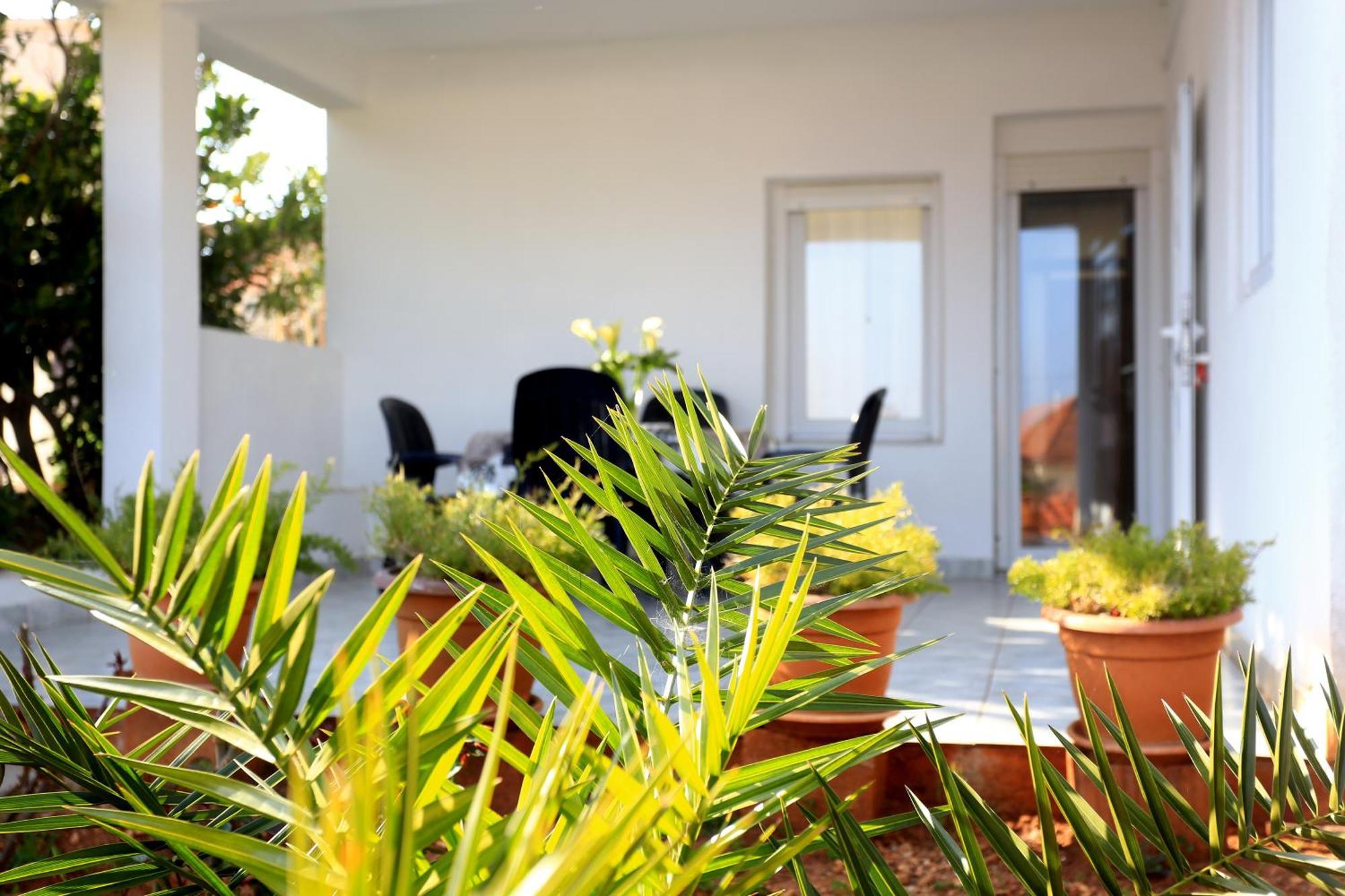 Apartments Olga Božava Εξωτερικό φωτογραφία