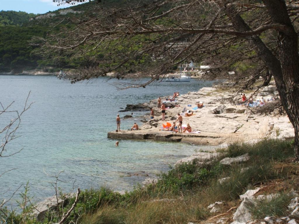 Apartments Olga Božava Εξωτερικό φωτογραφία