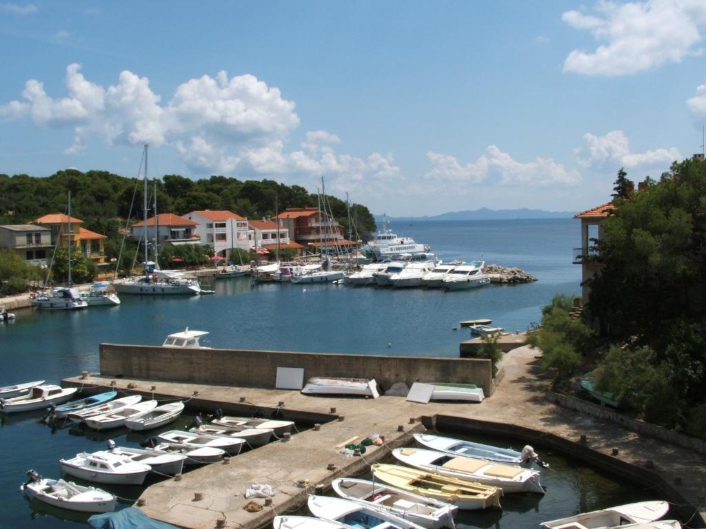 Apartments Olga Božava Εξωτερικό φωτογραφία